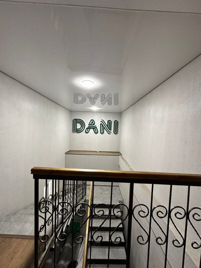 DANI арт.490928